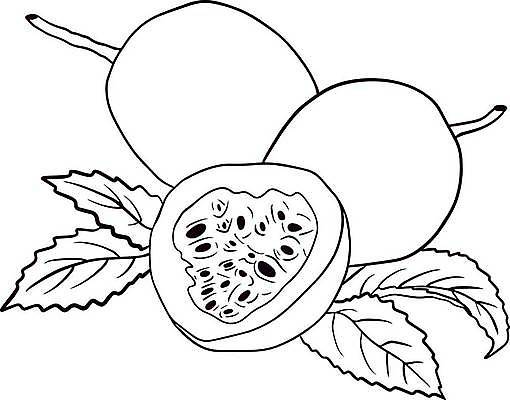 EPS 해외이미지 식물 라이프스타일 음식 조각 잎 과일 일러스트 재료 자연 디저트 건강 세트 라벨 보라색 수확 나뭇가지 신선 달콤 맛 스케치 자르기 수집 먹기 메뉴 그림 유기농 열정 손그림 고립 숙성 이국적 채식주의자 디테일 비건 해외일러스트 나무 웰빙 감정 컬러 컨셉 농업 모션 프레임 미술 생활 생태계 채식 파일형식 벡터 이미지허브
