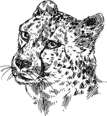 EPS 해외이미지 동물 디자인 실루엣 얼굴 야생동물 패턴 일러스트 포유류 아프리카 자연 추상 털 그래픽 머리 검은색 고양이 힘 흰색 점 우아함 인쇄 위험 만화 스케치 문신 심볼 오브젝트 사인 싱글 그림 육식동물 표범 고립 사바나 엘리먼트 해외일러스트 나라 컬러 컨셉 무늬 촬영기법 미술 신체부위 반려동물 생태계 파일형식 벡터 이미지허브