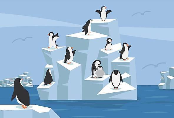 EPS 해외이미지 하늘색 여러마리 일러스트 갈매기 사람없음 귀여움 남극 펭귄 빙하 펭귄캐릭터 아기펭귄 해외일러스트 새끼 동물캐릭터 다수 컨셉 조류 파란색 극지방 파일형식 벡터 이미지허브