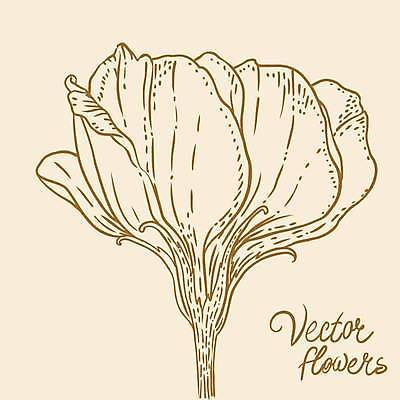 EPS 해외이미지 식물 손 디자인 꽃잎 꽃 실루엣 종이 백그라운드 꽃무늬 패턴 일러스트 자연 잉크 미술 그래픽 장식 연필 펜 정원 수확 벚꽃 나뭇가지 우아함 스케치 심볼 싱글 그림 복고 판화 고립 바로크 엘리먼트 옛날 타격 디테일 해외일러스트 나무 컨셉 무늬 농업 모션 문화예술 학용품 촬영기법 신체부위 필기구 생태계 파일형식 벡터 이미지허브