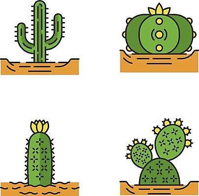 EPS 해외이미지 일러스트 선인장 사람없음 초록색 세트 해외일러스트 식물 컬러 파일형식 벡터 이미지허브