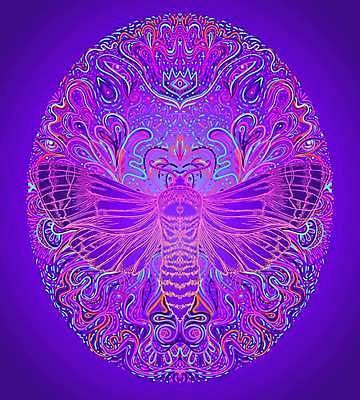 EPS 해외이미지 나비 곤충 백그라운드 스티커 패턴 일러스트 부분 자연 동양인 그래픽 장식 컬러풀 활발 수확 흰색 원형 화려 야간 신비 인도인 문신 심볼 사인 그림 신성 마법 기하학 나방 부족 고딕 만다라 신맛 파스텔톤 환각 히피 힙스터 해외일러스트 자연요소 도형 외국인 동물 패션 컬러 컨셉 무늬 농업 인종 맛 생태계 증상 파일형식 벡터 이미지허브