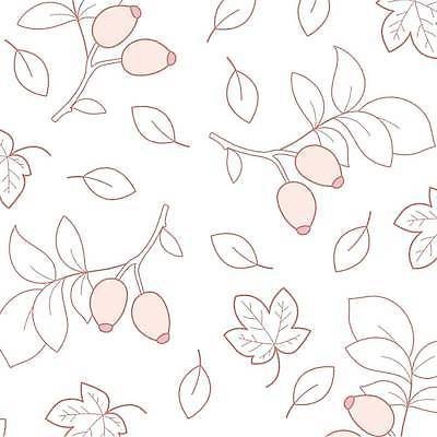 EPS 해외이미지 열매 단풍 잎 패턴 일러스트 사람없음 패턴백그라운드 흰색 라인아트 해외일러스트 식물 선 컬러 백그라운드 무늬 파일형식 벡터 이미지허브