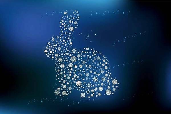 EPS 해외이미지 나무 동물 디자인 행복 어린이 크리스마스 겨울 패턴 일러스트 휴가 새로움 주택 선물 미소 풍경 야외 그래픽 장식 빨간색 파란색 빛 유행 추위 축하 인사 신용카드 눈송이 야간 12월 만화 연도 엽서 초대 해외일러스트 자연요소 식물 계절 기념일 감정 컬러 컨셉 무늬 눈_날씨 표정 사람 건물 금융 예절 날짜 편지 파일형식 벡터 이미지허브