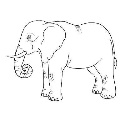 EPS 해외이미지 동물 손 야생동물 신체 일러스트 포유류 아프리카 자연 코끼리 생물 잉크 흑백 동물원 미술 동양인 그래픽 머리 검은색 힘 회색 흰색 주름 위험 큼 스케치 인도인 사파리 묘사 그림 코 꼬리 윤곽 귀 상아 무거움 숨김 고립 어려움 해외일러스트 외국인 나라 컬러 컨셉 문화예술 촬영기법 인종 신체부위 무게 크기 생태계 파일형식 벡터 이미지허브