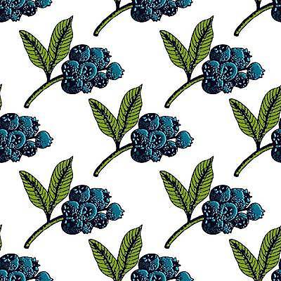 EPS 해외이미지 식물 음식 백그라운드 잎 패턴 농업 다이어트 과일 일러스트 자연 잉크 건강 그래픽 파란색 정원 수확 신선 달콤 숲 스케치 먹기 허브 메뉴 그림 유기농 블루베리 내추럴 고립 숙성 채식주의자 비건 해외일러스트 웰빙 산업 컬러 무늬 모션 미술 맛 생태계 채식 파일형식 벡터 이미지허브