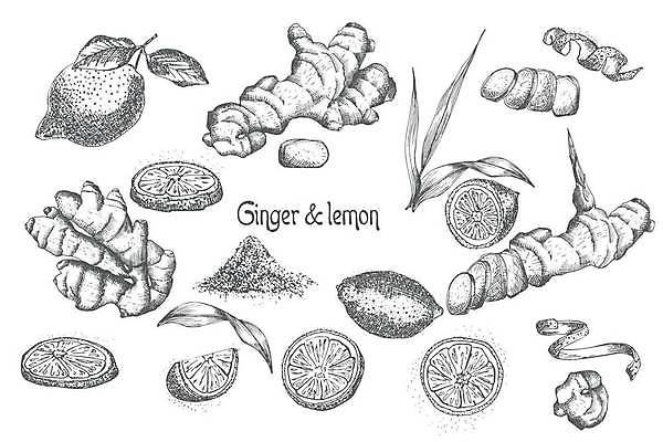 EPS 해외이미지 식물 손 디자인 꽃 음식 조각 백그라운드 잎 채소 일러스트 재료 추상 잉크 한국 건강 동양인 그래픽 컵 세트 약 연필 검은색 중국 수확 흰색 신선 차 가루 스케치 인도인 약국 레몬 허브 향신료 그림 유기농 복고 뿌리 라임 생강 고립 옛날 강황 디톡스 해외일러스트 외국인 식기 웰빙 아시아 음료 컬러 무늬 농업 과일 식재료 의학 학용품 미술 인종 신체부위 필기구 향미료 파일형식 벡터 이미지허브