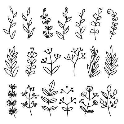EPS 해외이미지 식물 라인일러스트 일러스트 사람없음 검은색 다양 풀잎 해외일러스트 컬러 다수 잎 풀_식물 파일형식 벡터 이미지허브