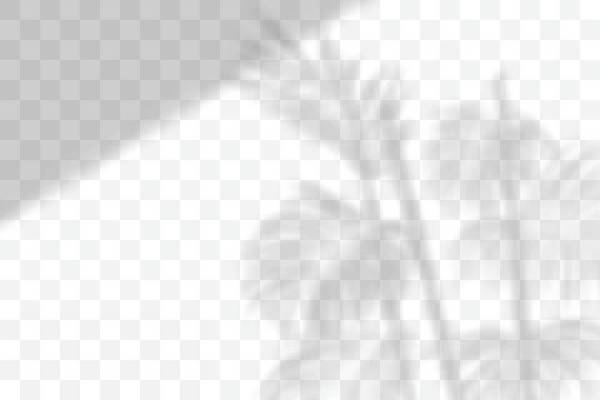 EPS 해외이미지 잎 일러스트 그림자 사람없음 그늘 블러 블러효과 해외일러스트 식물 파일형식 벡터 효과 이미지허브