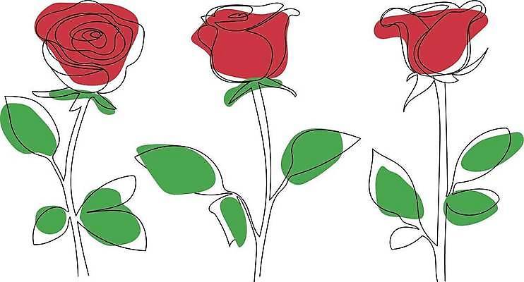 EPS 해외이미지 식물 디자인 꽃 꽃다발 결혼 백그라운드 잎 꽃무늬 패턴 일러스트 자연 벽지 추상 수채화 미술 그래픽 장식 여름 세트 장미 봄 낭만 수확 벚꽃 흰색 신용카드 우아함 수집 그림 복고 초대 부드러움 엘리먼트 해외일러스트 계절 컬러 컨셉 무늬 농업 문화예술 이벤트 금융 감각 생태계 파일형식 벡터 이미지허브