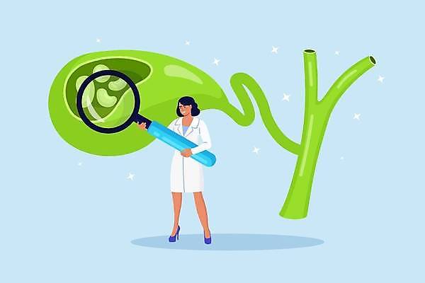 EPS 해외이미지 전신 여자 하늘색 일러스트 돋보기 건강 한명 서기 들기 성인 건강관리 의사 확대 질병 쓸개 성인여자한명만 해외일러스트 1 의학 모션 관리 사람 파란색 의료진 장기_의학 여자한명만 성인여자만 파일형식 벡터 이미지허브