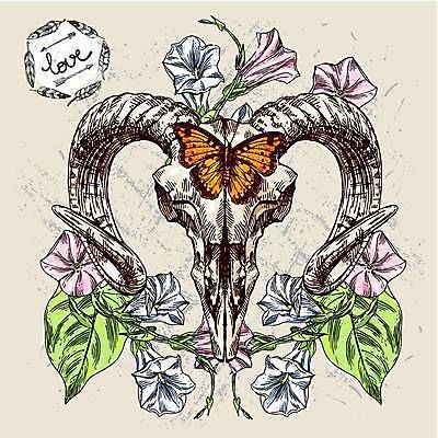 EPS 해외이미지 디자인 꽃 나비 일러스트 염소 사람없음 해골모형 해외일러스트 식물 곤충 포유류 모형 파일형식 벡터 이미지허브