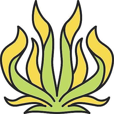 EPS 해외이미지 클립아트 식물 디자인 바다 컨셉 잎 일러스트 자연 장식 픽토그램 수중 웹 개화 해조류 만화 가득함 심볼 그림 내추럴 고립 다시마 세기 알로에 영원 스타일 해외일러스트 꽃 인터넷 모션 해양식물 생태계 파일형식 벡터 수중식물 이미지허브