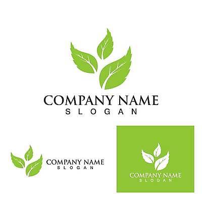 EPS 해외이미지 디자인 잎 일러스트 사람없음 초록색 심볼 에코 유기농 엘리먼트 해외일러스트 식물 웰빙 컬러 환경 파일형식 벡터 이미지허브