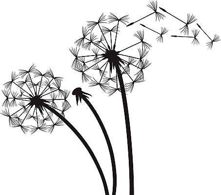 EPS 해외이미지 식물 꽃 실루엣 줄기 꽃무늬 일러스트 자연 벽지 바람 씨앗 초원 여름 검은색 침묵 벚꽃 흰색 자녀 꽃술 민들레 불기 싱글 생물학 번짐 부드러움 솜털 내추럴 타격 스타일 해외일러스트 자연요소 계절 교육 컬러 무늬 모션 날씨 촬영기법 소리 감각 생태계 파일형식 벡터 효과 이미지허브