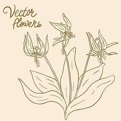 EPS 해외이미지 식물 손 디자인 꽃잎 꽃 실루엣 종이 백그라운드 꽃무늬 패턴 일러스트 자연 잉크 미술 그래픽 장식 연필 펜 정원 수확 벚꽃 나뭇가지 우아함 스케치 심볼 싱글 그림 복고 판화 고립 바로크 엘리먼트 옛날 타격 디테일 해외일러스트 나무 컨셉 무늬 농업 모션 문화예술 학용품 촬영기법 신체부위 필기구 생태계 파일형식 벡터 이미지허브