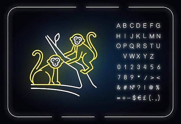 EPS 해외이미지 나무 알파벳 선 백그라운드 일러스트 타이포그라피 사람없음 원숭이 풀잎 화려 심볼 네온 형광등 정글짐 해외일러스트 식물 문자 영어 컨셉 잎 포유류 전등 풀_식물 놀이기구 파일형식 벡터 이미지허브