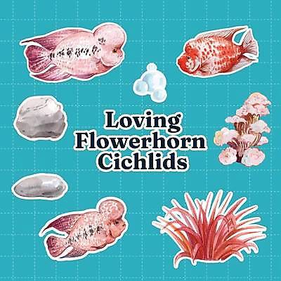 EPS 해외이미지 스티커 일러스트 세마리 어류 사람없음 돌_바위 물방울 해초 산호 손그림 엘리먼트 해외일러스트 3 수중동물 해조류 자포동물 파일형식 벡터 이미지허브