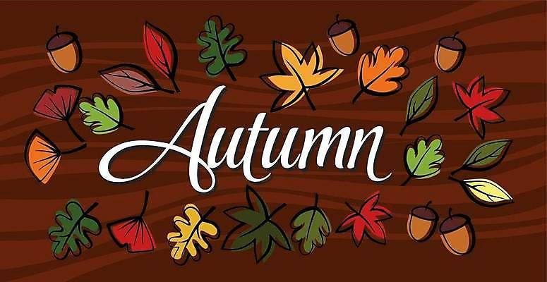 EPS 해외이미지 손글씨 단풍 낙엽 일러스트 사람없음 갈색 가을 도토리 가을배경 해외일러스트 계절 컬러 백그라운드 잎 견과류 파일형식 벡터 가을_계절 이미지허브