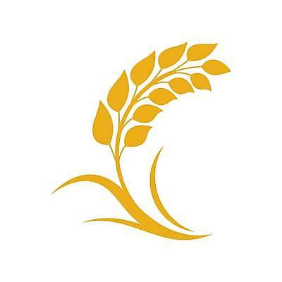 EPS 해외이미지 식물 디자인 음식 빵 농업 일러스트 밥 옥수수 씨앗 농작물 농장 노란색 수확 흰색 낟알 밀 심볼 사인 유기농 귀 밀가루 스파이크 내추럴 고립 밭일 엘리먼트 해외일러스트 웰빙 산업 컬러 곡류 신체부위 가루 파일형식 벡터 이미지허브