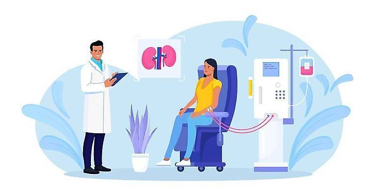 EPS 해외이미지 전신 여자 남자 하늘색 잎 의자 일러스트 의학 건강 서기 들기 앉기 성인 두명 건강관리 의사 신장 링거 혈액주머니 혈액투석 성인만 해외일러스트 식물 가구 의료기기 모션 관리 사람 파란색 의료진 혈액 비뇨기관 파일형식 벡터 이미지허브