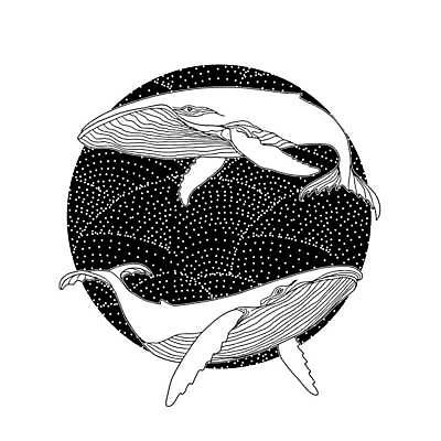 EPS 해외이미지 두마리 일러스트 사람없음 검은색 분위기 고래 해외일러스트 컬러 컨셉 2 포유류 수중동물 파일형식 벡터 이미지허브