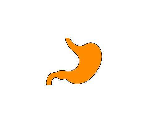 EPS 해외이미지 캐릭터 디자인 백그라운드 신체 오렌지 일러스트 부분 해부 건강 병원 사람 내부 그래픽 약 고통 의사 흰색 아기 오르간 플랫 질병 만화 심볼 생물학 가스 시스템 문제 타입 고립 돌봄 신맛 해외일러스트 일러캐릭터 교육 감정 컬러 과일 의학 모션 의료진 건반악기 맛 파일형식 벡터 이미지허브