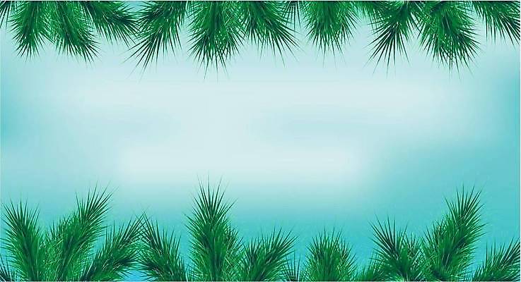 EPS 해외이미지 나무 디자인 배너 계절 포스터 크리스마스 겨울 일러스트 자연 휴가 프레임 미술 사람없음 그래픽 장식 축제 화환 나뭇가지 축하 소나무 신용카드 12월 자르기 그림 파란배경 엽서 꽃가루 상록수 전나무 헤딩 가문비나무 카피스페이스 국경 해외일러스트 식물 기념일 꽃 백그라운드 컨셉 모션 문화예술 금융 파란색 축구 공백 날짜 가루 편지 생태계 파일형식 벡터 이미지허브