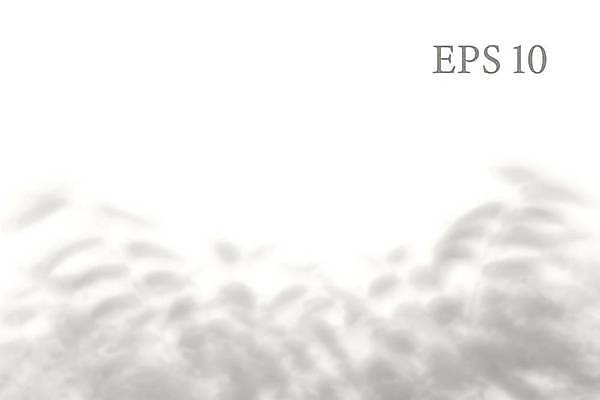 EPS 해외이미지 백그라운드 잎 일러스트 그림자 사람없음 그늘 해외일러스트 식물 파일형식 벡터 이미지허브