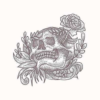 EPS 해외이미지 식물 손 디자인 꽃 얼굴 백그라운드 잎 꽃무늬 패턴 일러스트 휴가 골격 미술 사람 그래픽 장식 장미 머리 검은색 할로윈 수확 흰색 죽음 화려 그리기 설탕 문신 심볼 사인 그림 질감 복고 고립 엘리먼트 옛날 총포 해골모형 스타일 해외일러스트 컬러 컨셉 무늬 농업 모션 문화예술 신체부위 모형 파일형식 벡터 이미지허브