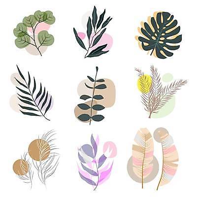 EPS 해외이미지 디자인 잎 일러스트 사람없음 세트 엘리먼트 열대잎 해외일러스트 식물 파일형식 벡터 이미지허브