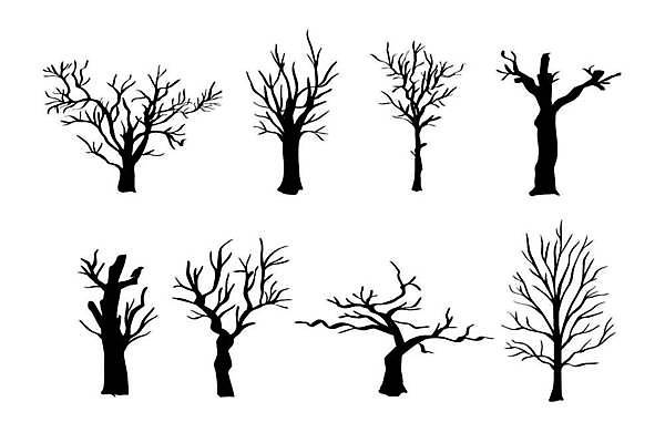 EPS 해외이미지 나무 실루엣 일러스트 목재 세트 환경 검은색 나뭇가지 죽음 숲 수집 뿌리 내추럴 고립 고체 옛날 해외일러스트 식물 컬러 재료 촬영기법 파일형식 벡터 이미지허브