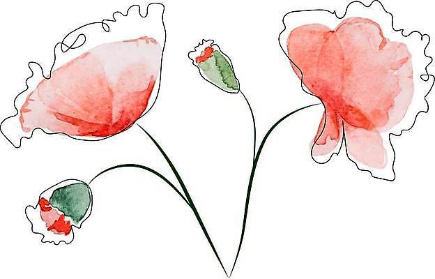 EPS 해외이미지 식물 디자인 꽃 꽃다발 결혼 백그라운드 잎 꽃무늬 패턴 일러스트 자연 벽지 추상 수채화 미술 그래픽 장식 여름 세트 장미 봄 낭만 수확 벚꽃 흰색 신용카드 우아함 수집 그림 복고 초대 부드러움 엘리먼트 해외일러스트 계절 컬러 컨셉 무늬 농업 문화예술 이벤트 금융 감각 생태계 파일형식 벡터 이미지허브