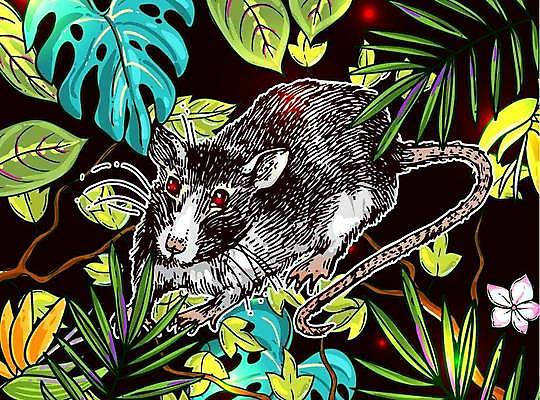 EPS 해외이미지 동물 1 손 디자인 선 일러스트 포유류 털 동물원 그래픽 반려동물 검은색 수확 흰색 그리기 해충 쥐 설치류 인쇄 작음 만화 스케치 문신 심볼 싱글 그림 꼬리 심플 윤곽 판화 솜털 내추럴 고립 현실 해외일러스트 컬러 농업 모션 미술 신체부위 벌레 크기 파일형식 벡터 이미지허브