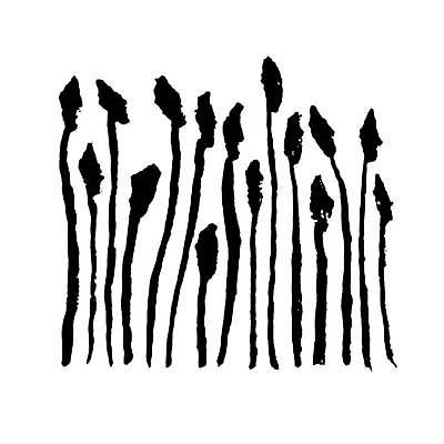 EPS 해외이미지 식물 일러스트 붓터치 사람없음 검은색 질감 그런지 해외일러스트 컬러 파일형식 벡터 이미지허브