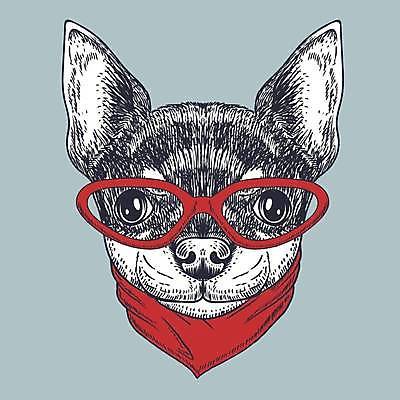 EPS 해외이미지 안경 일러스트 사람없음 스카프 심볼 치와와 안경낌 해외일러스트 잡화 목도리 개 파일형식 벡터 이미지허브