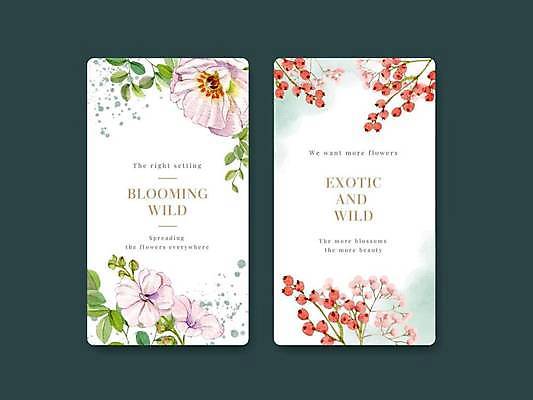 EPS 해외이미지 열매 꽃 잎 일러스트 사람없음 흰색 분위기 손그림 감성 해외일러스트 식물 컬러 컨셉 파일형식 벡터 이미지허브