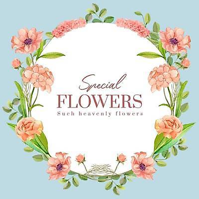 EPS 해외이미지 꽃 분홍색 하늘색 잎 일러스트 사람없음 분위기 손그림 감성 원형프레임 꽃프레임 해외일러스트 식물 컬러 컨셉 프레임 파란색 원형 파일형식 벡터 이미지허브