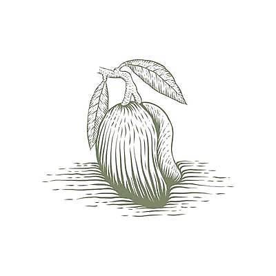 EPS 해외이미지 나무 식물 손 디자인 배너 선 음식 백그라운드 잎 과일 일러스트 재료 자연 잉크 건강 미술 그래픽 장식 여름 펜 식당 수확 신선 시장 달콤 맛 상품 스케치 오브젝트 메뉴 그림 유기농 복고 윤곽 망고 비타민 내추럴 고립 엘리먼트 이국적 채식주의자 스타일 비건 해외일러스트 웰빙 계절 컨셉 농업 문화예술 신체부위 필기구 상점 열대과일 생태계 채식 영양소 파일형식 벡터 이미지허브