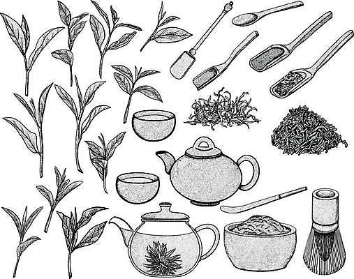 EPS 해외이미지 나무 식물 전통 디자인 꽃 음료 음식 잎 일러스트 자연 유리 주전자 건강 그래픽 컵 초록색 세트 주방 일본 검은색 중국 카페 머그컵 수확 찻잔 찻주전자 스케치 수집 허브 심볼 메뉴 아로마 손그림 내추럴 엘리먼트 핸드메이드 해외일러스트 식기 아시아 컬러 농업 재질 주방용품 잔 미술 상점 생태계 파일형식 벡터 이미지허브