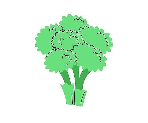 EPS 해외이미지 클립아트 식물 손 디자인 음식 백그라운드 농업 다이어트 채소 일러스트 재료 자연 건강 요리 미술 그래픽 초록색 신선 플랫 브로콜리 만화 다발 오브젝트 메뉴 싱글 그림 유기농 클립 심플 내추럴 고립 엘리먼트 채식주의자 스타일 비건 해외일러스트 웰빙 산업 컬러 문화예술 신체부위 생태계 채식 파일형식 벡터 이미지허브