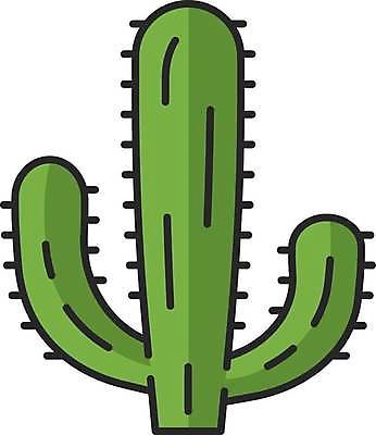 EPS 해외이미지 일러스트 선인장 사람없음 초록색 해외일러스트 식물 컬러 파일형식 벡터 이미지허브