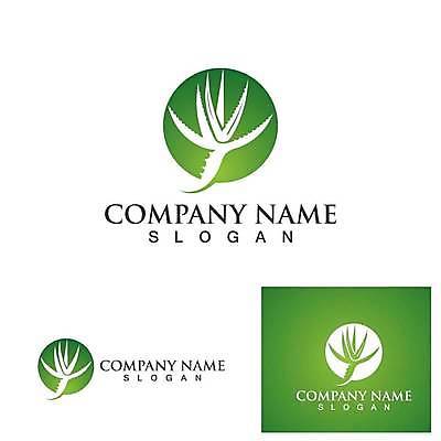 EPS 해외이미지 디자인 잎 일러스트 사람없음 초록색 심볼 유기농 알로에베라 해외일러스트 식물 웰빙 컬러 알로에 파일형식 벡터 이미지허브