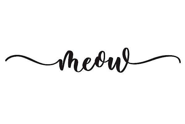 EPS 해외이미지 손글씨 영어 일러스트 캘리그라피 사람없음 고양이 필기체 레터링 해외일러스트 문자 포유류 반려동물 파일형식 벡터 이미지허브