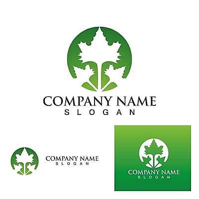 EPS 해외이미지 디자인 잎 일러스트 사람없음 초록색 심볼 에코 유기농 엘리먼트 해외일러스트 식물 웰빙 컬러 환경 파일형식 벡터 이미지허브