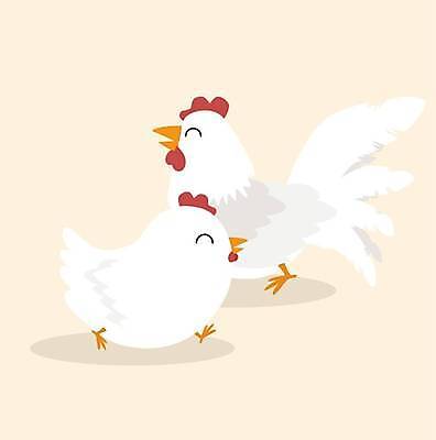EPS 해외이미지 일러스트 사람없음 닭 수탉 암탉 해외일러스트 조류 암컷 수컷 파일형식 벡터 이미지허브