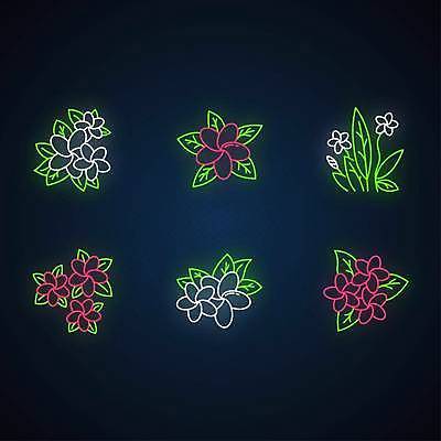 EPS 해외이미지 줄기 잎 일러스트 사람없음 빛 네온 열대꽃 네온아트 해외일러스트 식물 꽃 파일형식 벡터 이미지허브