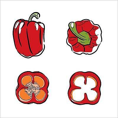 EPS 해외이미지 음식 채소 일러스트 재료 요리 동양인 그래픽 농장 주방 신선 조미료 시장 수집 유기농 후추 고립 채식주의자 해외일러스트 웰빙 농업 인종 향신료 채식 향미료 파일형식 벡터 이미지허브