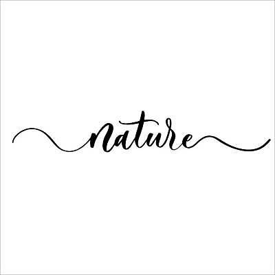 EPS 해외이미지 손글씨 영어 일러스트 캘리그라피 자연 사람없음 필기체 레터링 해외일러스트 문자 생태계 파일형식 벡터 이미지허브