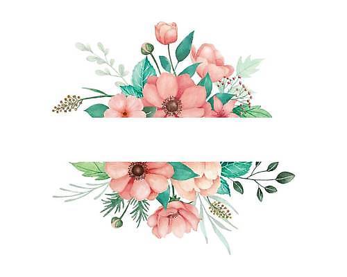 EPS 해외이미지 꽃 분홍색 잎 일러스트 프레임 사람없음 그림 손그림 아네모네 카피스페이스 해외일러스트 식물 컬러 공백 파일형식 벡터 이미지허브